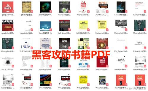 從零起步 網絡安全與黑客自學筆記——計算機軟硬件基礎